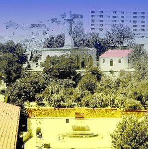 TIARET 050  MONNERET